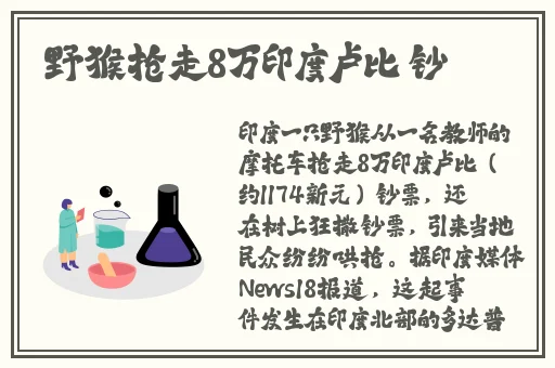 四虎成人久久精品无码